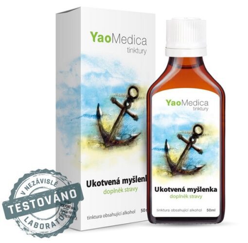 Ukotvená myšlenka