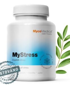 MyStress